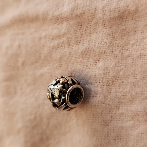 Pandora Family Forever Charm - Picture 5 of 9